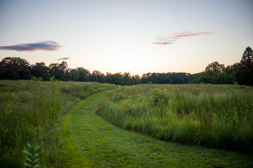 A grassy knoll with a path cut into the grass leading towards the horizon.